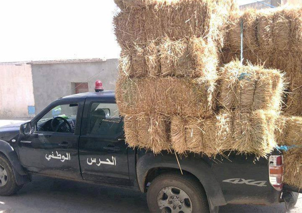 Photo du jour : Un véhicule de la Garde nationale transporte du foin