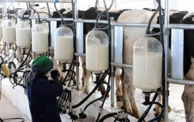 Le ministre du Commerce dcide exceptionnellement l'exportation du lait et de ses drivs