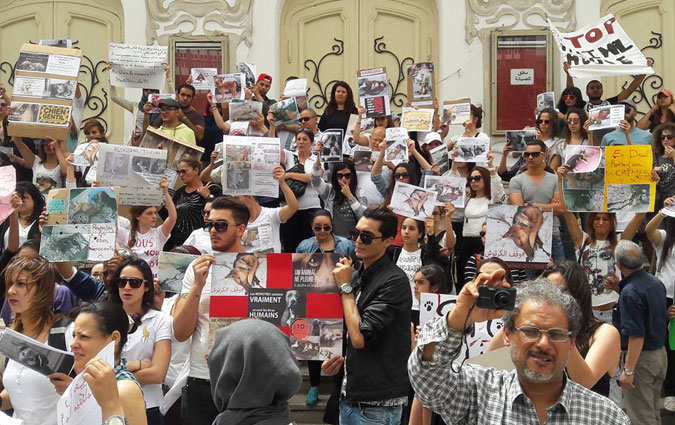 Une manifestation  Tunis contre l'abattage des chiens errants