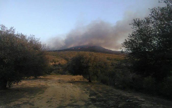 4 incendies matriss dans les montagnes du Kef