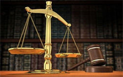 La Justice se prononcera sur la plainte du Contentieux de l'Etat contre Cactus Prod le 11 octobre