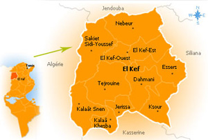 Tunisie - Des prévisions en hausse pour la production de minerais de fer au Kef en 2012