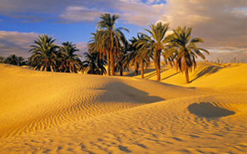 Perspectives novatrices pour le tourisme saharien et oasien