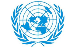 ONU: Proposition d'accord de coopration pour promouvoir les institutions dmocratiques
