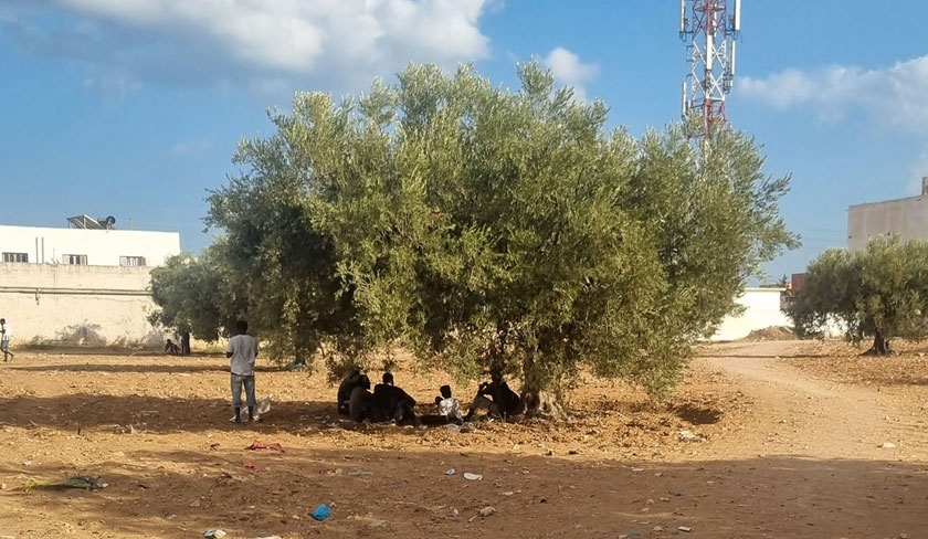 Migration clandestine : situation proccupante  El Amra

