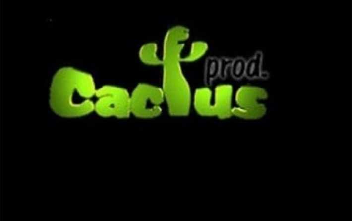 Appel doffres pour un partenariat avec Cactus Prod 