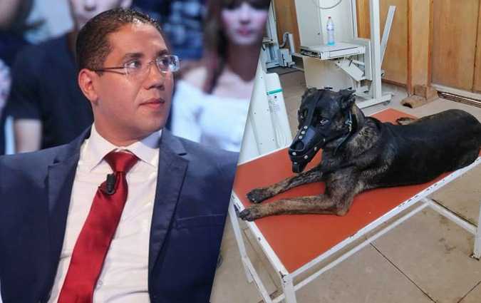 Mahmoud Baroudi : Le chien Frits est plus honorable que nous, les politiciens !