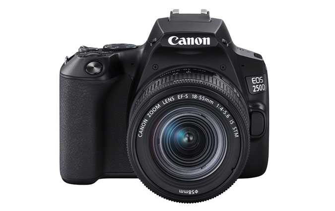 Canon EOS 250D, le reflex numrique avec cran orientable le plus lger au monde