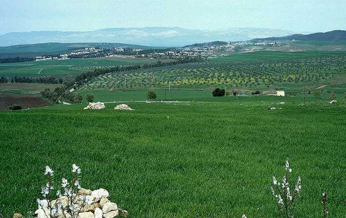 Rcupration de 38 hectares de terrains domaniaux spolis  lAriana

