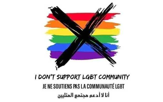 Une campagne anti-LGBT envahit la toile tunisienne 