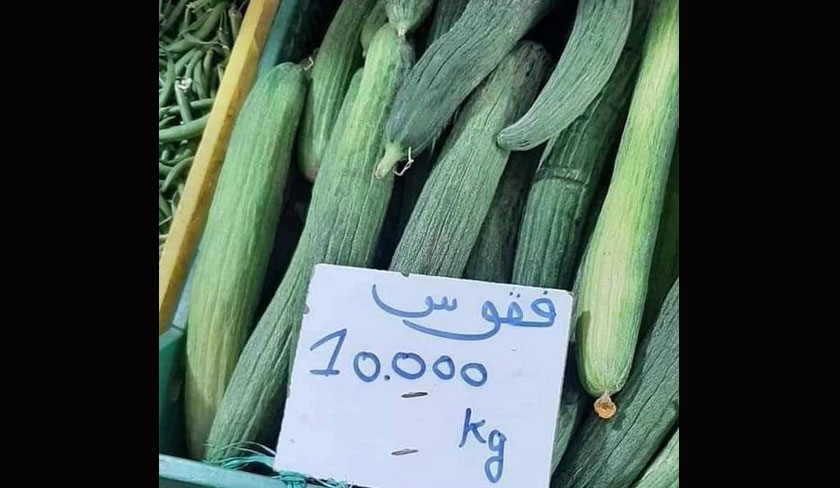 Le kilo de concombres  dix dinars suscite le sarcasme des Tunisiens