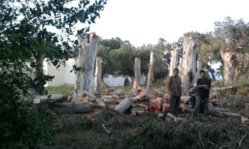Tunisie âEUR