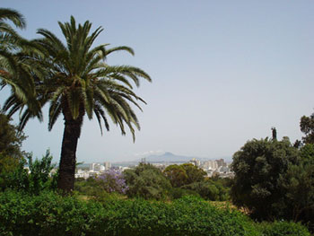 Selon Siemens : Tunis parmi les villes les plus vertes dâEUR(TM)Afrique