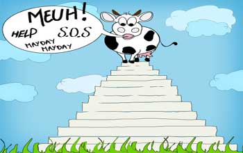 Tunisie : le lait et ses multiples problèmes