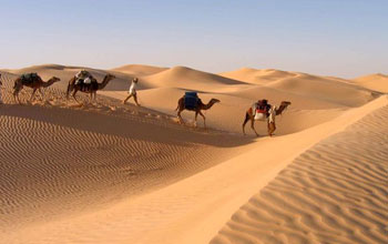 Sahra Net 2009, le jumelage exceptionnel du Sahara et de lâEUR(TM)Internet
