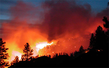 Tunisie - Gigantesque incendie à Jebel Chaâmbi