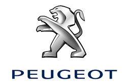 En 2018, Peugeot leader du march des particuliers et progresse dun demi-point de part de march