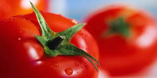 Tunisie - L'ODC alarmée par la hausse «excessive» du prix des tomates en conserve