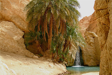 Tunisie – Aide de 5,76 millions de dollars à six oasis tunisiennes