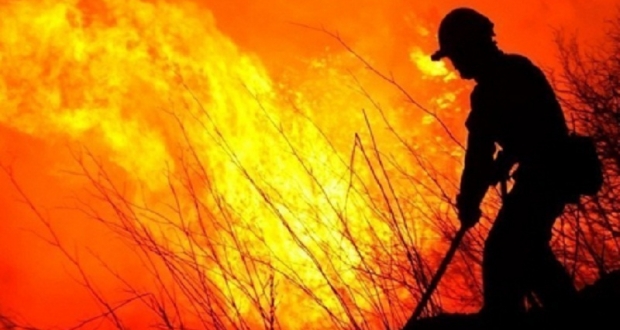 Tunisie – Le Kef : Trois incendies sur cinq ont été maîtrisés