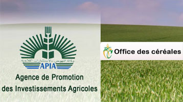 Tunisie – Nouvelles nominations à la tête APIA et de l'Office des Céréales