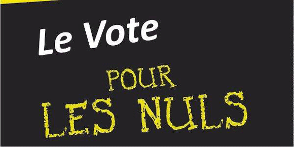 Voter pour les nuls !