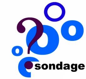Riadh Chabi et Radhouane Masmoudi publient leurs sondages et enfreignent la loi lectorale