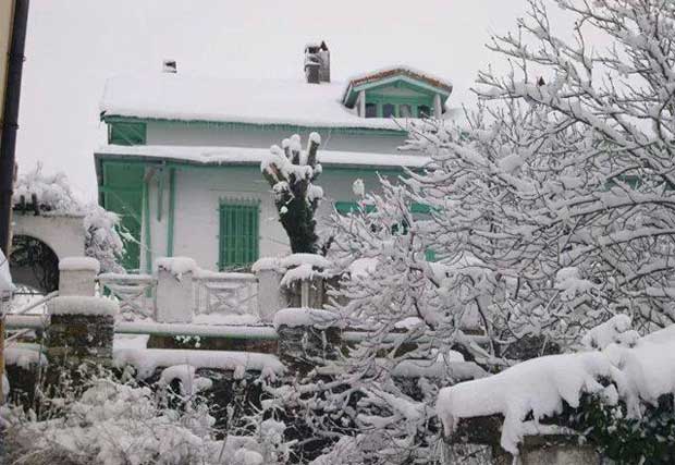 Les hauteurs du nord tunisien, bientôt sous la neige