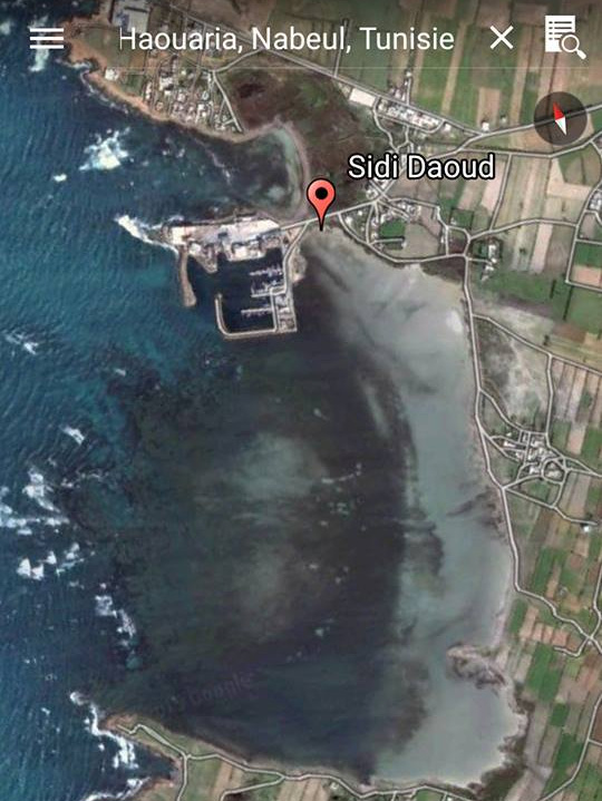 La plage de Sidi Daoued  El Hawaria pollue par une usine de la rgion
