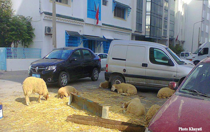 Photo du jour : la rahba en plein centre-ville