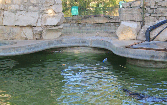 Parc du Belvdre : Le poumon de Tunis touffe !