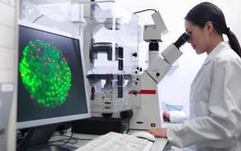 L'Institut Pasteur réagit à la polémique concernant les essais pour lutter contre la leishmaniose