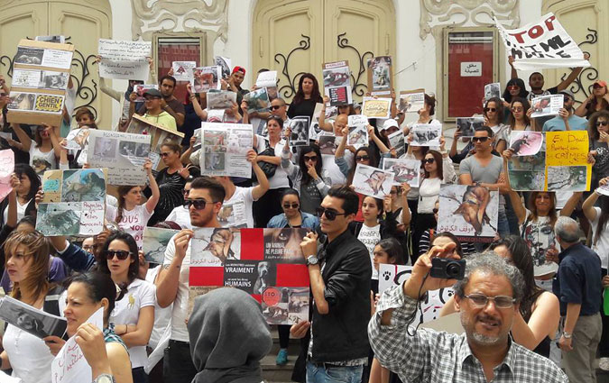 Une manifestation à Tunis contre l'abattage des chiens errants