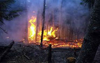 Tunisie - Incendie à Jebel Chaâmbi