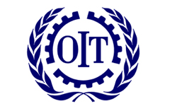 L'emploi et les salaires en Tunisie sous la loupe des experts de l'OIT