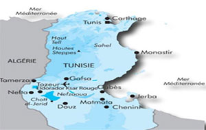 Tunisie - Saisie de 100 mille euros par la douane à la frontière tuniso-algérienne