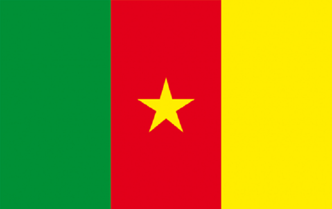 L’ambassade du Cameroun appelle ses ressortissants au calme 