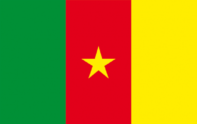 L’ambassade du Cameroun appelle ses ressortissants au calme