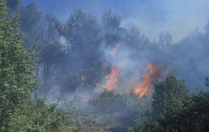 L'incendie de Aïn Drahem et Fernana ravage sept maisons