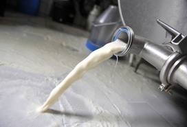 La Manouba : Saisie de 2200 litres de lait mlangs avec des produits de lessive
