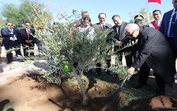 Fte de l'Arbre : Bji Cad Essebsi annonce une campagne extraordinaire de boisement 