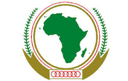 Sommet de l'Union africaine : La Tunisie reprend un « rôle actif » sur la scène africaine