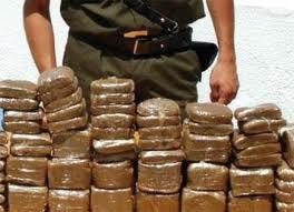 Tunisie- Saisie de près de 650 kilos de cannabis