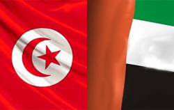 Tunisie - Les Émiratis à la rescousse de 625 familles défavorisées à Kebili