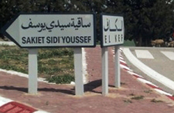 Echange de tirs entre un groupe terroriste et les forces de sécurité à Sakiet Sidi Youssef 