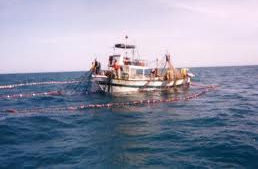 Tunisie - Bilan de l'attaque du bateau de pêche : 1 mort et 6 blessés