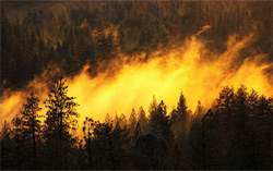 Incendies des forêts du nord-ouest, explications contradictoires des autorités