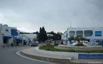 Sidi Bou Saïd : Une manifestation du « comité de protection de la révolution » réunit une centaine de personnes