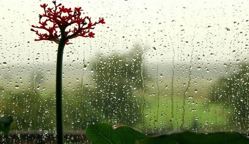 Qu'est-ce que la pluie artificielle ?