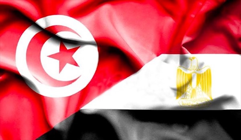 La Tunisie discute avec l’Égypte de l’acheminement des aides vers Gaza 
